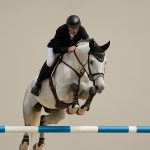 Top 10 Sires of Show Jumping 2025