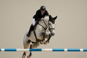 Top 10 Sires of Show Jumping 2025