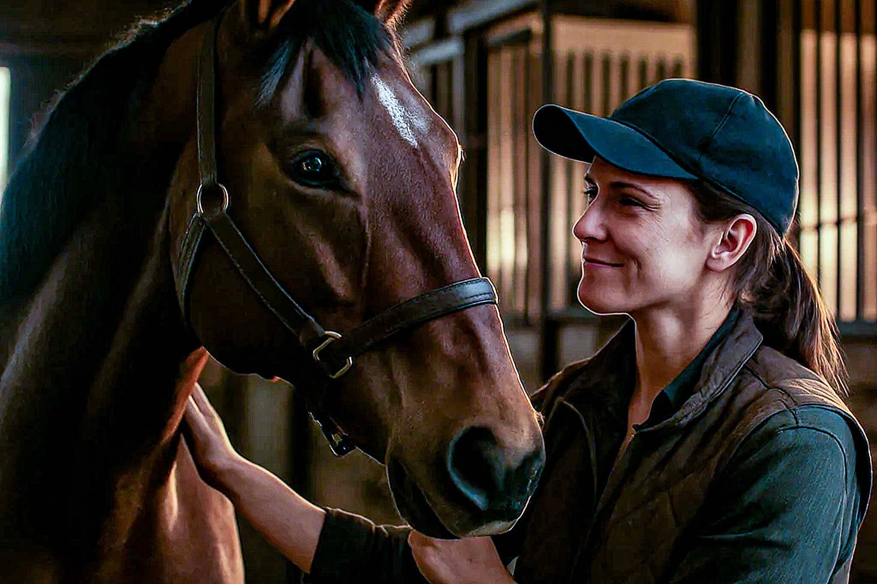 A quiet, wooden stable designed to absorb sound and keep horses relaxed