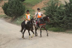 Endurance riding race in forest trail, more than 10 years ago — unpublished archival photo.