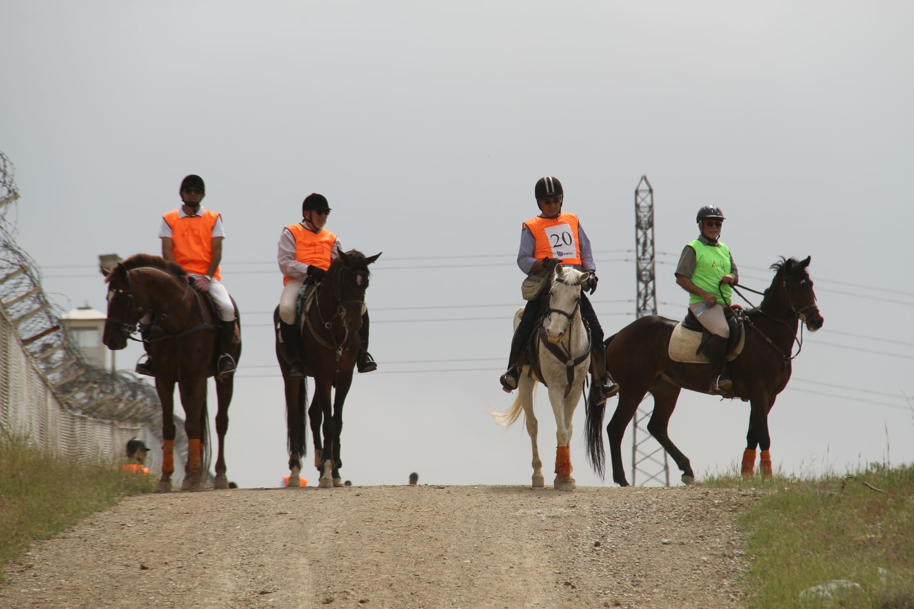Long-distance endurance competition in nature — horseback riding memories from past years.
